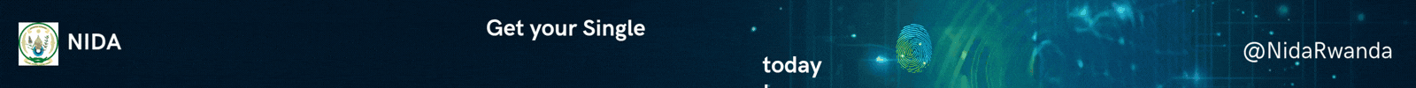 The USA New Times Banner
